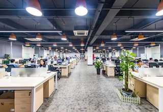 南京好养的绿植养护