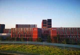 辽宁餐厅红木家具厂家