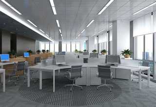 宝山区机场消杀效果