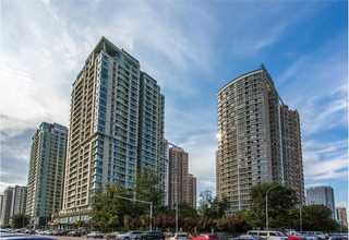 长安区信息化法律咨询服务价目