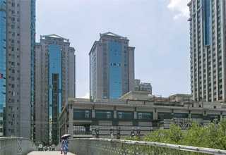 辽宁原料药催化剂金属吸附剂