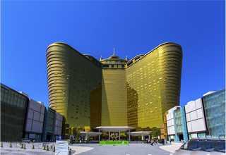 重庆山茶油纳米脂质体制备